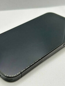 Мобільний телефон iPhone 15 Pro Max 256GB