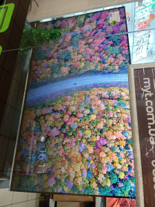 Телевізор ERGO LED 55GUS8555