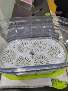 Пароварка Saturn ST-EC1179