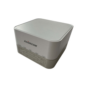 Wi Fi роутер RAISECOM DR5254-07