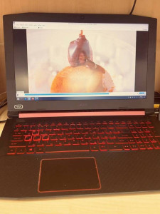 Ноутбук Acer Nitro 5 AN515-52-50Z0