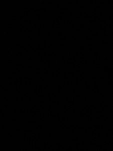 Мобильный телефон Xiaomi Redmi Note 12 Pro 5G 8/256Gb