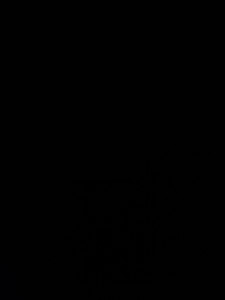 Мобильный телефон Xiaomi 12 8/256GB