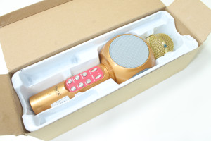 Портативна акустика + мікрофон WSTER WS-1816