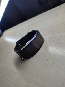 Смарт часы Samsung Gear Fit2 Pro SM-R365