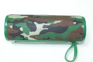 Портативная акустика Walker WSP-110