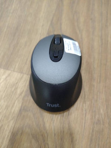 Миша Trust Zaya Rechargeable