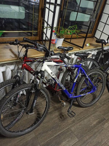 Велосипед горный Comanche Prairie