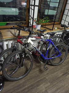 Велосипед горный Comanche Prairie