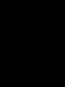 Мобільний телефон iPhone 15 128GB