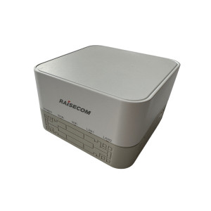 Wi Fi роутер RAISECOM DR5254