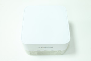 Wi Fi роутер RAISECOM DR5254