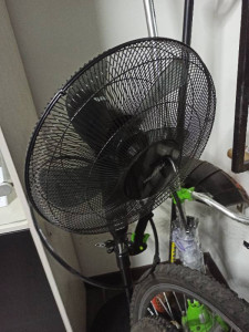 Вентилятор HausMark HSFM 1620BK/RC