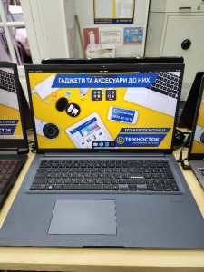 Ноутбук ASUS M1702QA-AU072