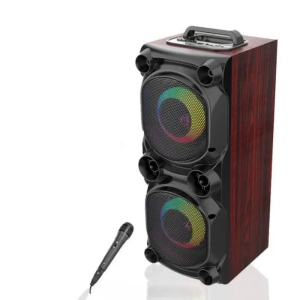 Портативна акустика SING-E ZQS6226+МІКРОФОН