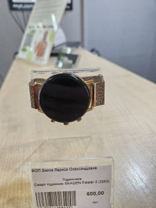 Смарт годинник SKAGEN Falster 2 (3263)