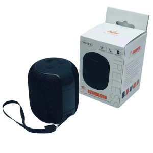 Портативная акустика WSTER WS-305