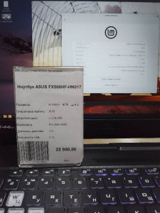 Ноутбук ASUS FX506HF-HN017