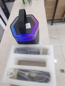 Портативна акустика + мікрофон HAVIT SK895BT