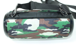 Портативна акустика BOROFONE BR13