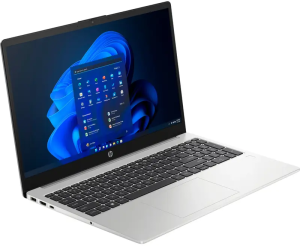 Ноутбук HP 255 G10